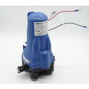 Whale watermaster pump